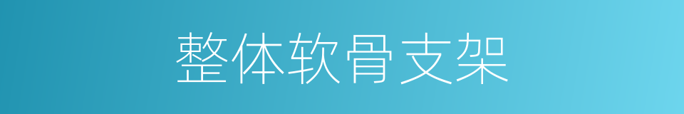 整体软骨支架的同义词
