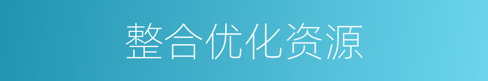 整合优化资源的同义词