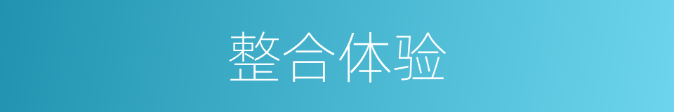整合体验的同义词
