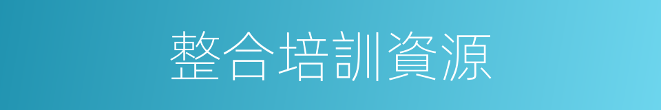 整合培訓資源的同義詞