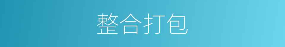 整合打包的同义词