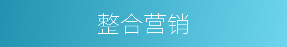 整合营销的同义词