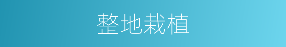 整地栽植的同义词