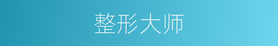 整形大师的同义词