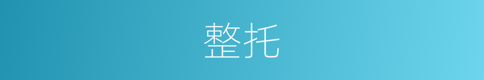 整托的意思