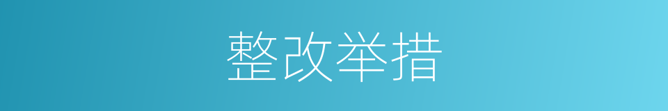 整改举措的同义词