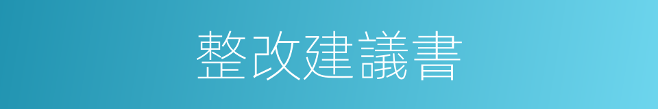 整改建議書的同義詞