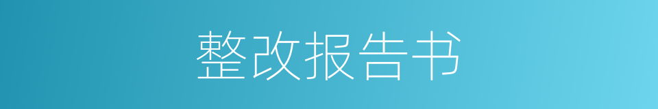 整改报告书的同义词