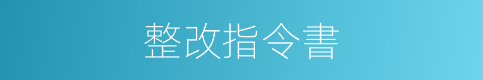 整改指令書的同義詞