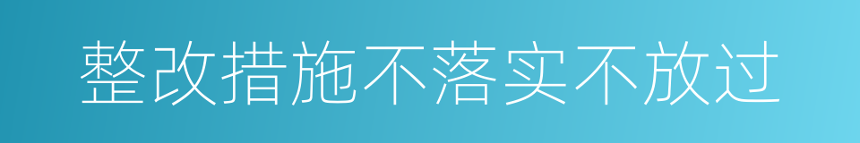 整改措施不落实不放过的同义词