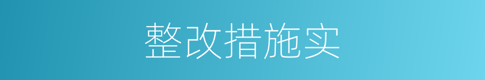 整改措施实的同义词