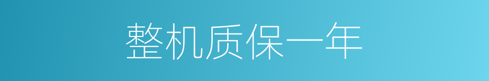 整机质保一年的同义词