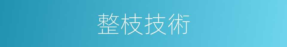 整枝技術的同義詞