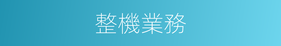 整機業務的同義詞