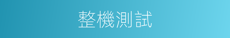 整機測試的同義詞