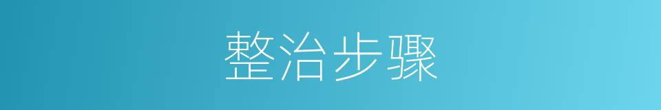 整治步骤的同义词