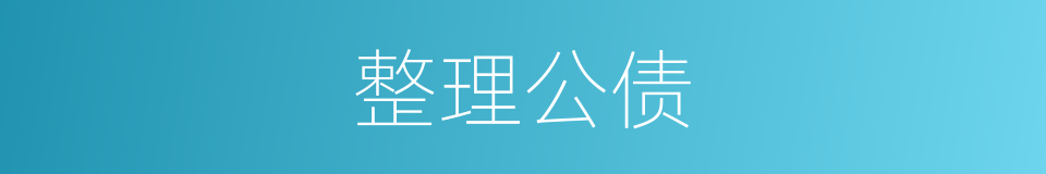 整理公债的同义词