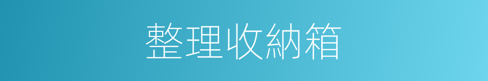 整理收納箱的同義詞