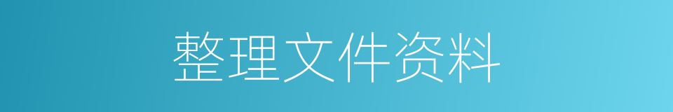 整理文件资料的同义词