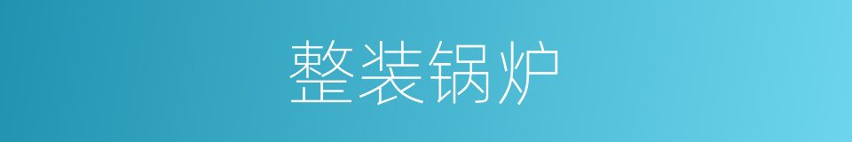 整装锅炉的同义词