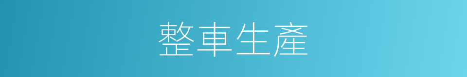 整車生產的同義詞