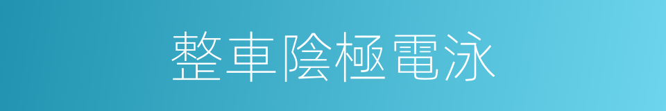整車陰極電泳的同義詞