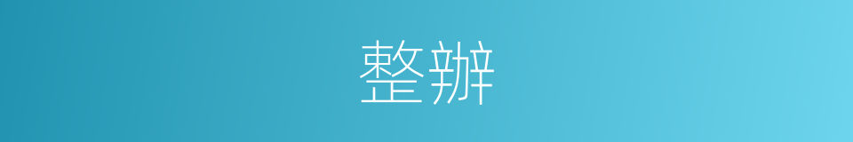整辦的意思