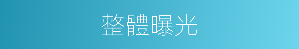 整體曝光的同義詞