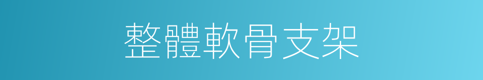 整體軟骨支架的同義詞