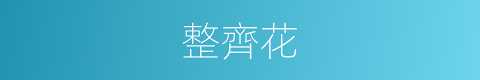 整齊花的同义词