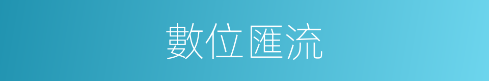 數位匯流的同義詞