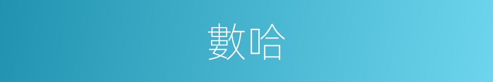 數哈的同義詞