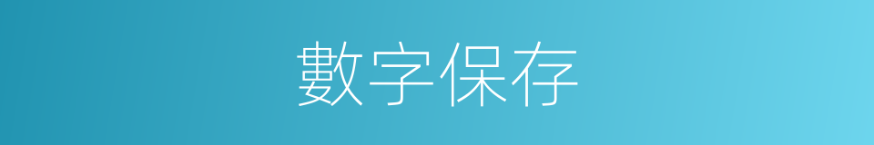 數字保存的同義詞