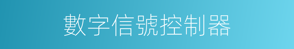 數字信號控制器的同義詞