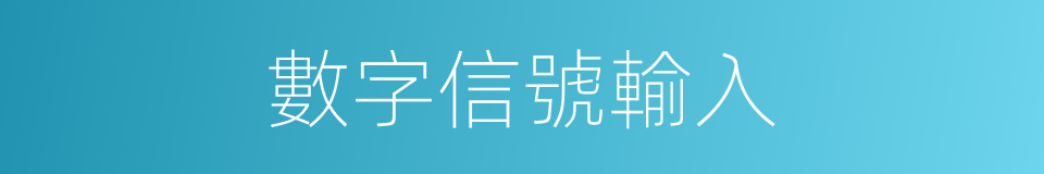 數字信號輸入的同義詞