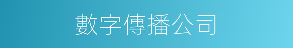 數字傳播公司的同義詞