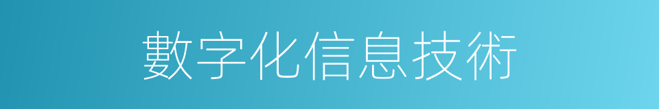 數字化信息技術的同義詞