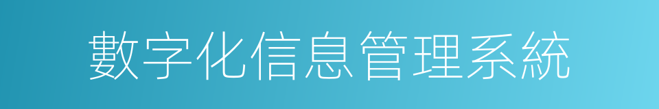 數字化信息管理系統的同義詞