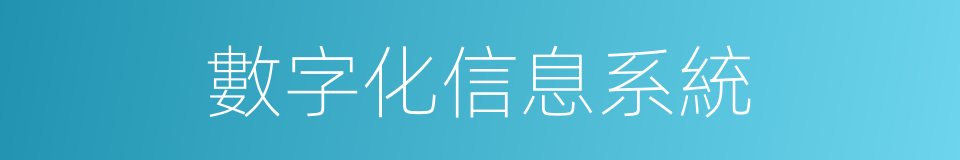 數字化信息系統的同義詞