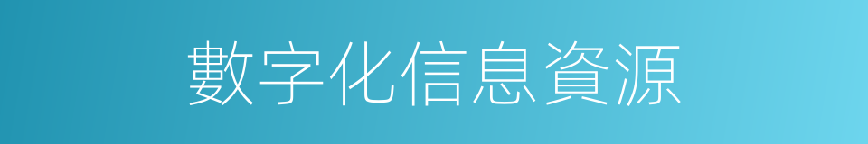 數字化信息資源的同義詞