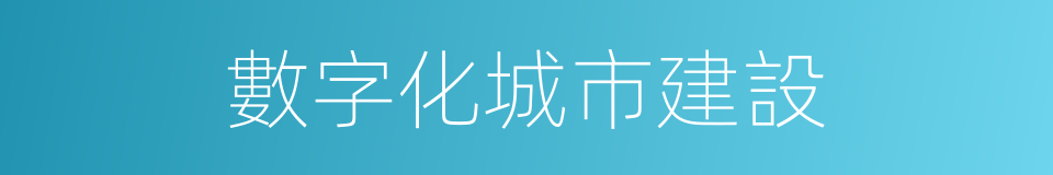 數字化城市建設的同義詞