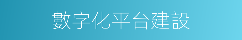 數字化平台建設的同義詞