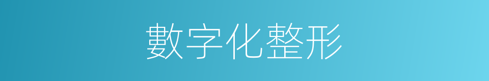 數字化整形的同義詞