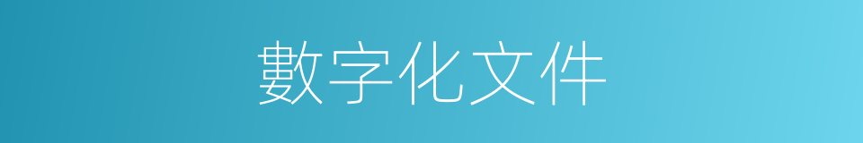 數字化文件的同義詞