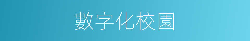 數字化校園的同義詞