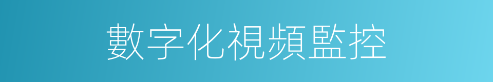 數字化視頻監控的同義詞