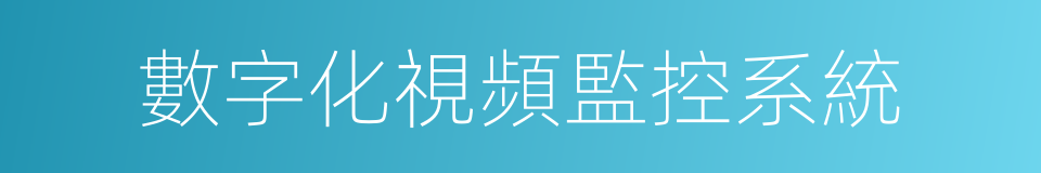 數字化視頻監控系統的同義詞