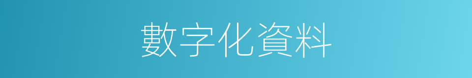 數字化資料的同義詞