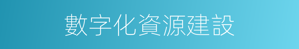 數字化資源建設的同義詞