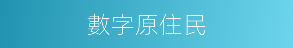 數字原住民的同義詞